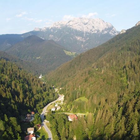 Na Logu - Farm Stay Ambroz Gregorc Solčava Eksteriør bilde