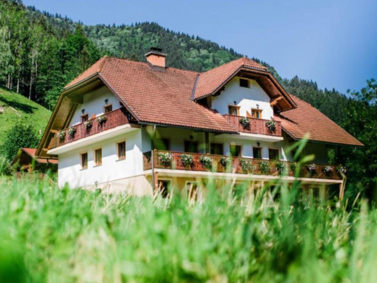 Na Logu - Farm Stay Ambroz Gregorc Solčava Eksteriør bilde