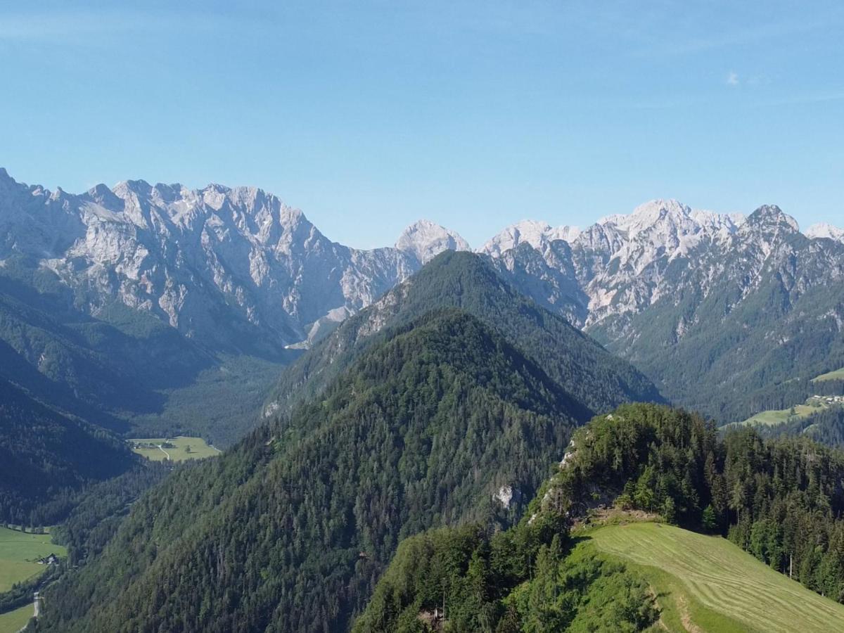 Na Logu - Farm Stay Ambroz Gregorc Solčava Eksteriør bilde