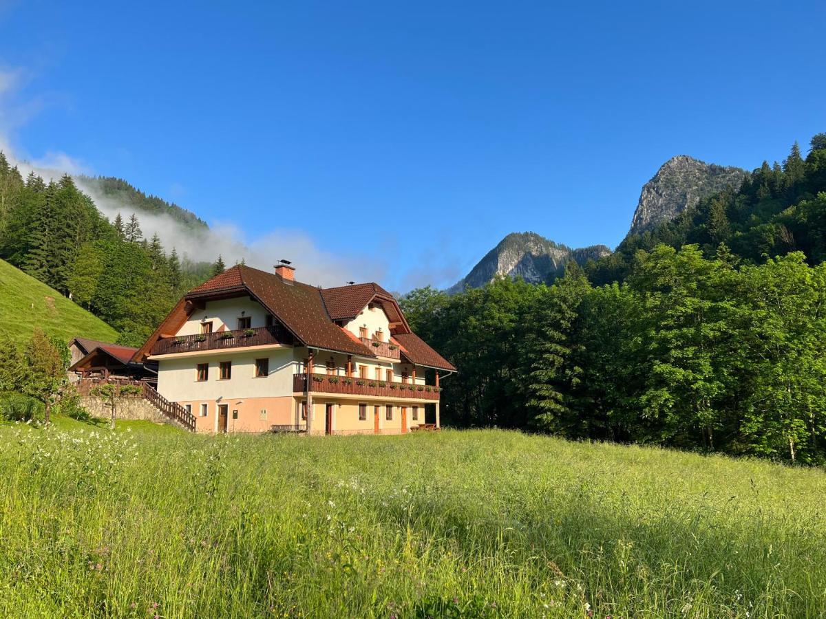 Na Logu - Farm Stay Ambroz Gregorc Solčava Eksteriør bilde