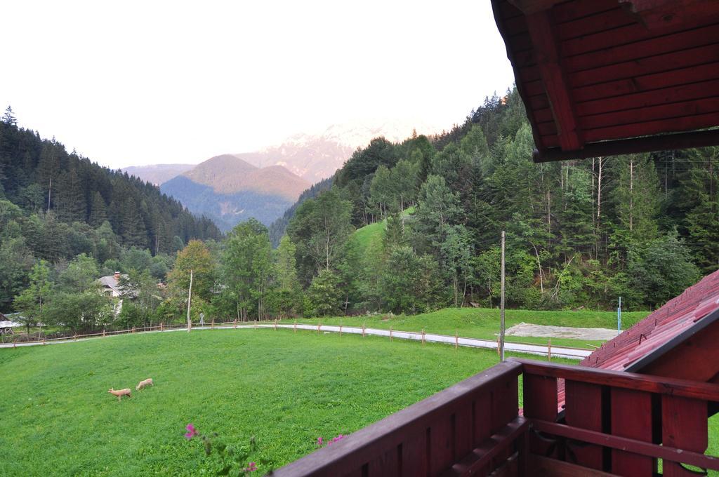 Na Logu - Farm Stay Ambroz Gregorc Solčava Rom bilde