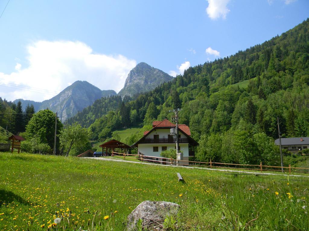 Na Logu - Farm Stay Ambroz Gregorc Solčava Eksteriør bilde