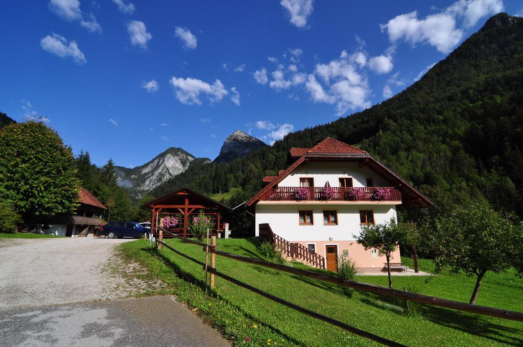 Na Logu - Farm Stay Ambroz Gregorc Solčava Eksteriør bilde